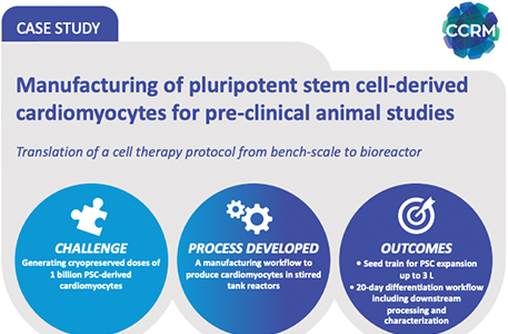 Manufacturing of pluripotent stem cell-derived cardiomyocytes for pre-clinical animal studies Case Study Image