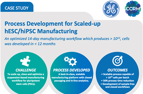 Process Development for Scaled-up hESC/hiPSC Manufacturing Case Study Image