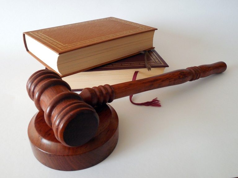 Image of a gavel and book